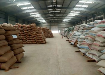 البنك الزراعي المصري يُنهي استعداداته لاستقبال موسم توريد القمح 2026