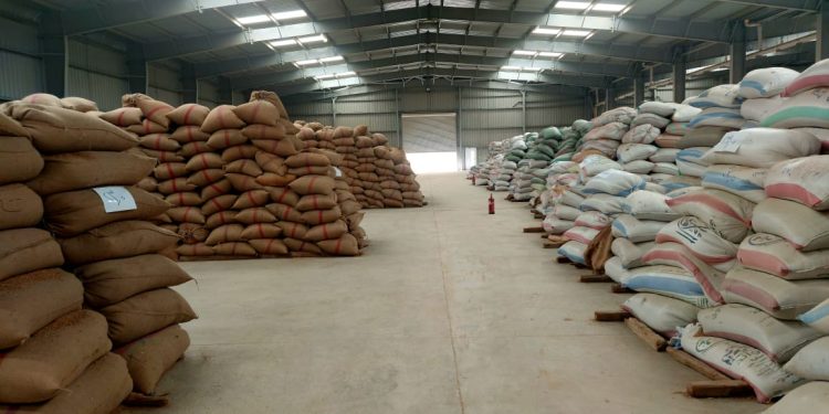 البنك الزراعي المصري يُنهي استعداداته لاستقبال موسم توريد القمح 2026