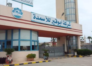 استمرار تدفق الغاز الطبيعي نتيجة جهود وزارة البترول والثروة المعدنية يدفع مؤشرات الإنتاج لشركة أبوقير للأسمدة إلي تحقيق نمو كبيرا وقوي