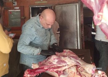 محافظ القليوبية يتابع حملات ضبط الأسواق.. والتحفظ على ذبيحة مريضة وغير صالحة للاستهلاك الآدمي ببنها