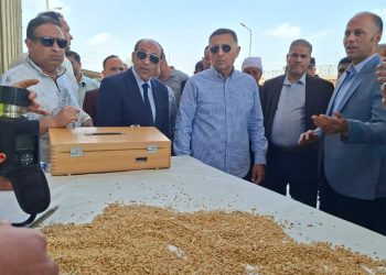 تموين القليوبية يواصل توريد القمح ( ١٠٦٦٧ طن ) و ( ٤٩٩ ) كيلو