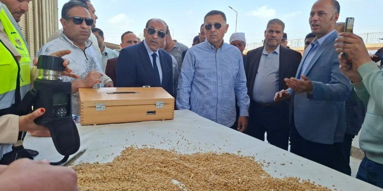 تموين القليوبية يواصل توريد القمح ( ١٠٦٦٧ طن ) و ( ٤٩٩ ) كيلو