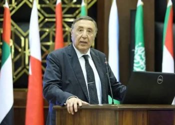 المحكمة الدستورية تنتصر لحرية الصحافة .. من حق الصحفي انتقاد المسؤولين