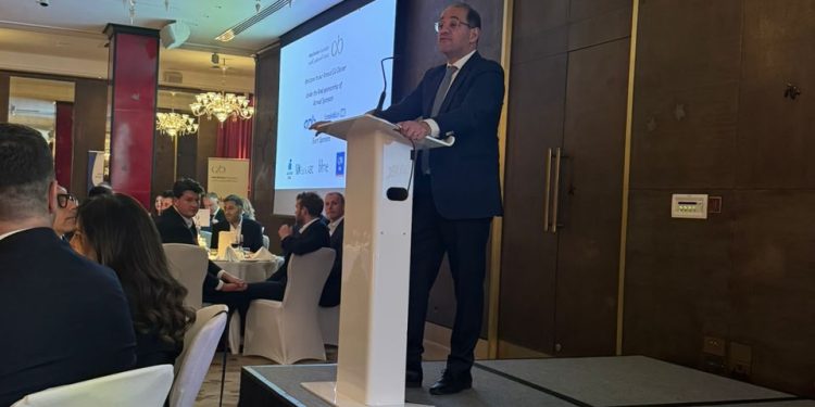 وزير المالية: العلاقات الاقتصادية بين مصر وشركائها الإقليميين تشهد نموًا متسارعًا