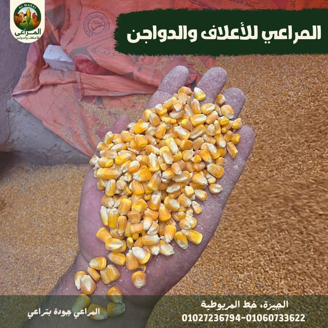 شركة المراعي للأعلاف والدواجن