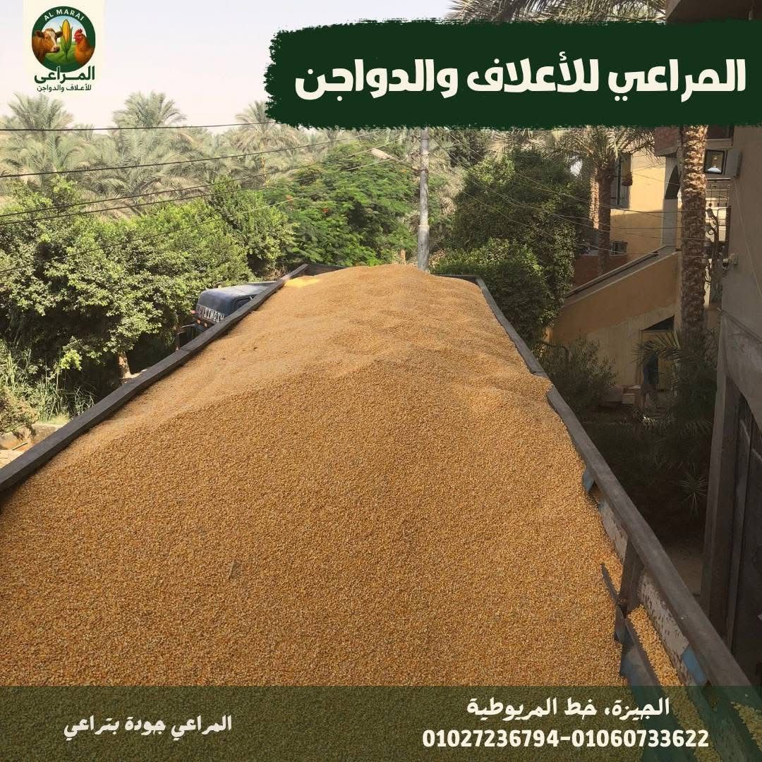 شركة المراعي للأعلاف والدواجن