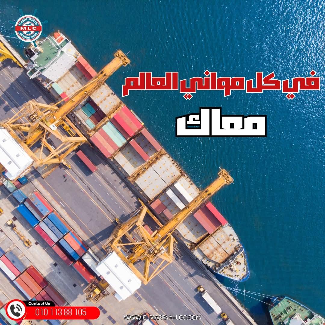 المصرية لوجيستيك للشحن الدولي والتخليص الجمركي