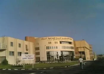 بقفزة نمو 105%.. “أموك” تُعدّل موازنتها التخطيطية وترفع توقعات أرباحها لعام 2026 إلى 2.1 مليار جنيه