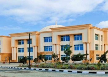 الدراوي تطلق مشروع زراعة اللافندر داخل جامعة شرق بورسعيد الأهلية