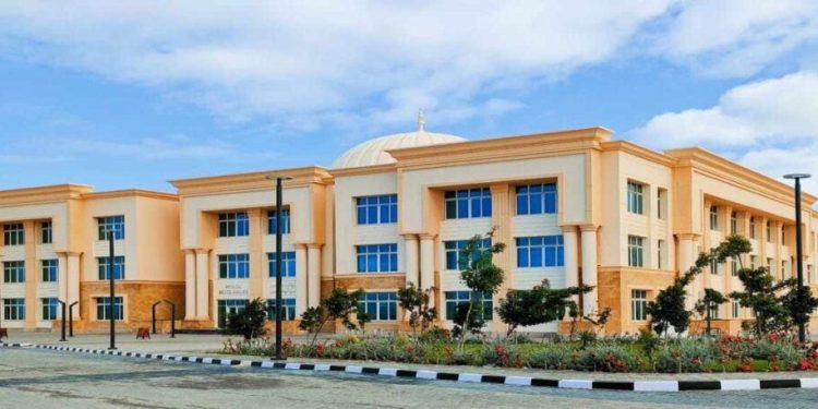 الدراوي تطلق مشروع زراعة اللافندر داخل جامعة شرق بورسعيد الأهلية
