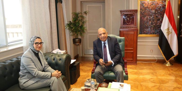 وزير الكهرباء يبحث مع محافظ الوادي الجديد سبل دعم الاعتماد على الطاقات المتجددة