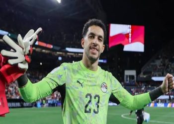 مصطفى شوبير