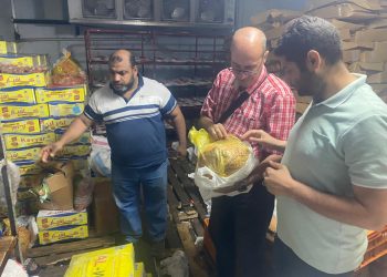 صحة القليوبية .. ضبط قرابة ربع طن مصنعات لحوم مجهولة المصدر قبل تداولها بالأسواق بالخانكة