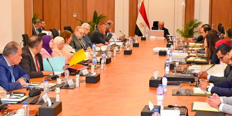 نائب رئيس الوزراء للشؤون الاقتصادية يترأس عمومية القابضة للأدوية لاعتماد الموازنة التقديرية للعام المالي 2026-2027