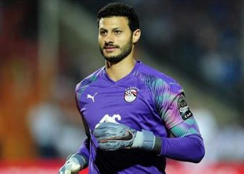محمد الشناوي
