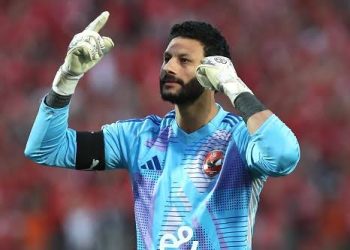محمد الشناوي