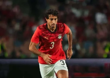 محمد هاني